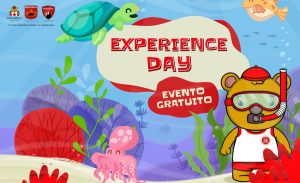 Experience day