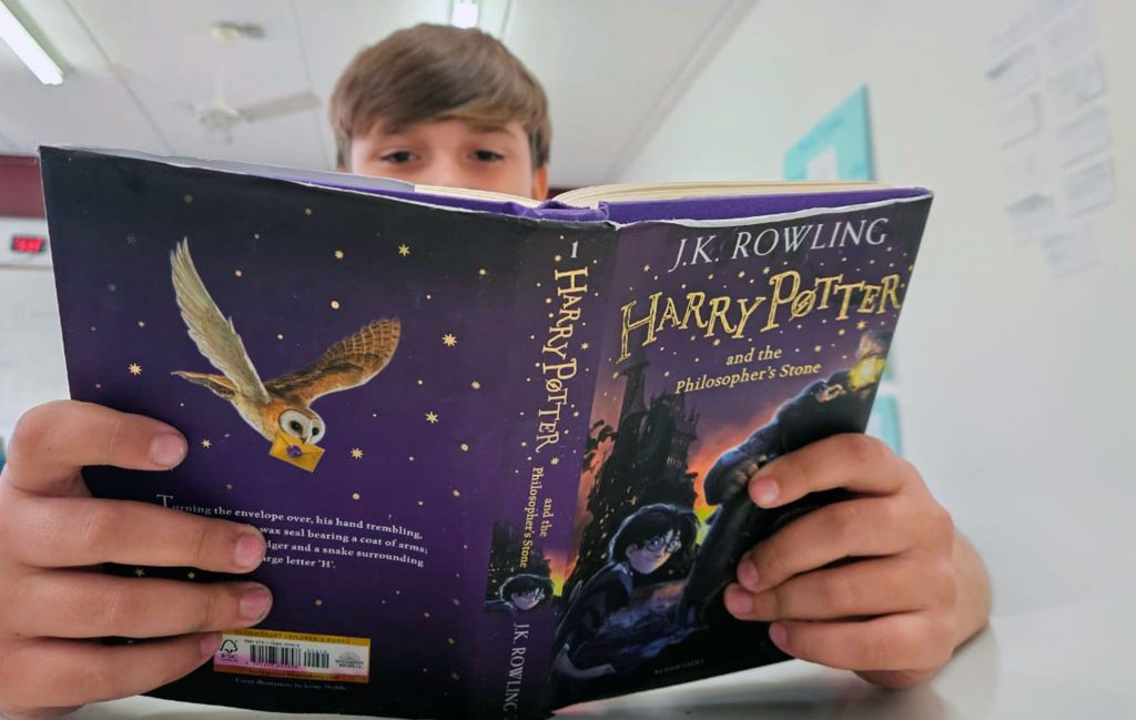 Year 7: Explorando o mundo mágico de Harry Potter